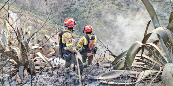 Frenar Los Incendios En Quito Semanario Ecuador News