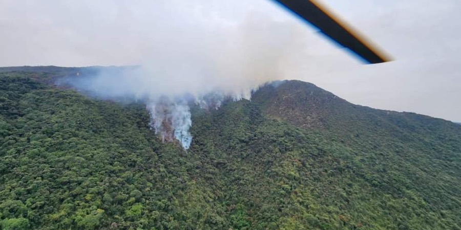 Siete Incendios Forestales Se Mantienen Activos En Azuay 6 700