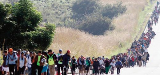 asilo político caravana de inmigrantes