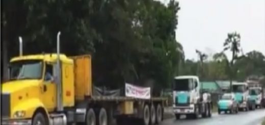 Transportistas pesados