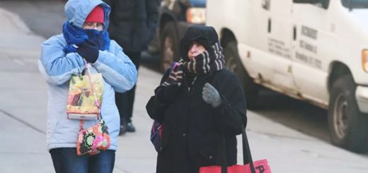 congelado Thanksgiving