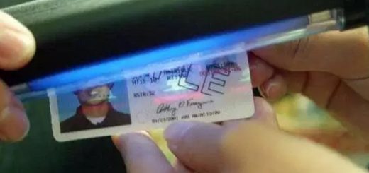 Licencias de conducción