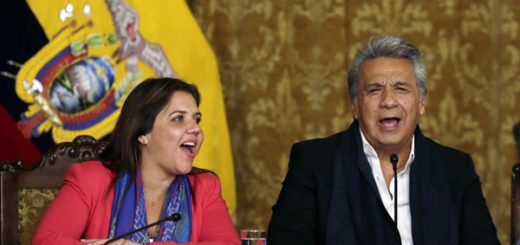 Vicepresidenta renunció