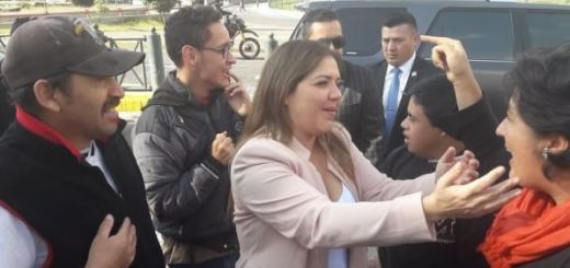 Vicuña fiscalía diezmos