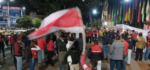 Hinchas Técnico Universitario