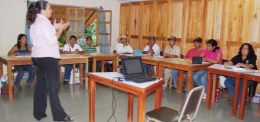 MOVIMIENTO INDIGENA ASOCIADOS DE CONNECTICUT