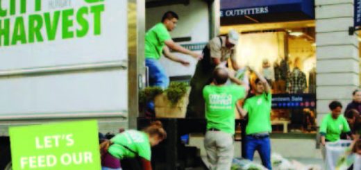City Harvest distribución de alimentos