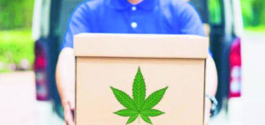 cannabis a domicilio