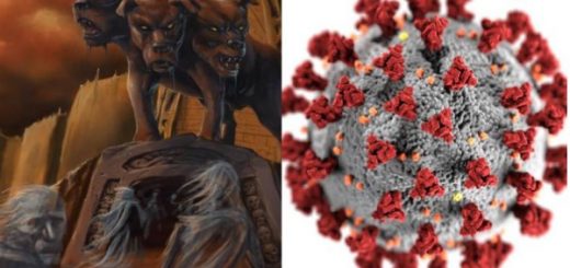 covid 19 Perro del infierno