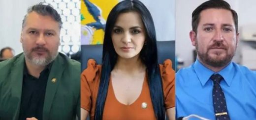 ID acciones representantes partido