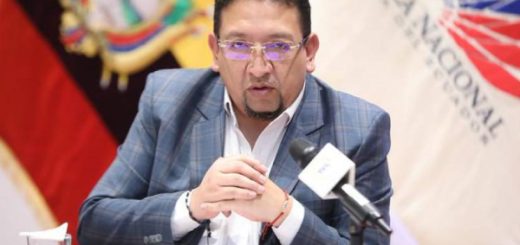 vocales suplentes del Consejo de Participación Ciudadana