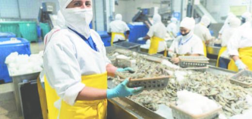 acuerdo entre Ecuador y la China