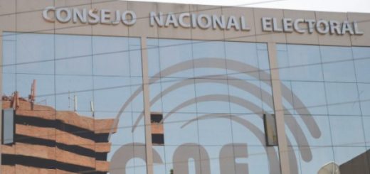 CNE control campaña electoral