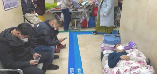 subvariante XBB.1.5 de Covid-19