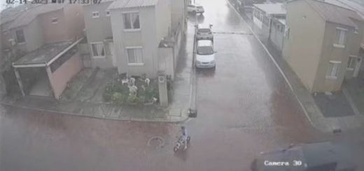 Atropellan a un niño en urbanización de Daule