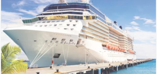 ‘InCruises’ sería la nueva estafa piramidal que circula en la red