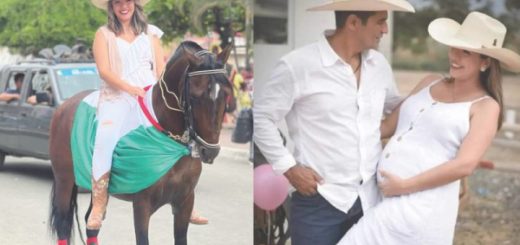 Concejala de Olmedo desaparecida