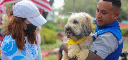 Guayaquil: 52 animales rescatados se han adoptado en ferias de adopción