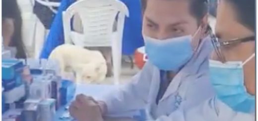 Atienden requerimiento de la Coop. Balerio Estacio