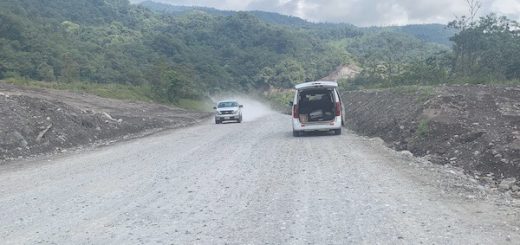 soluciones viales en la Amazonía