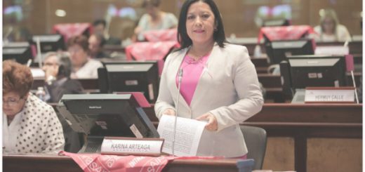 Karina Arteaga habría recibido más de USD 10 mil por parte de una de sus excolaboradoras