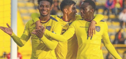 La Tricolor jugará el Mundial de Indonesia Sub 20