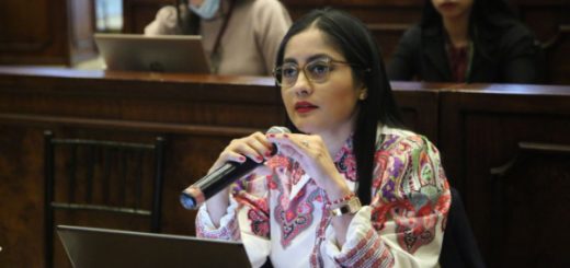 Viviana Veloz (UNES)