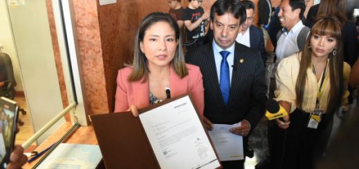 Proyecto de ley contra desnutrición infantil