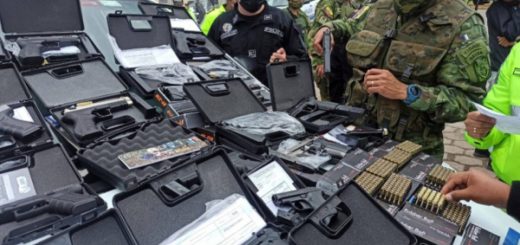 vSeguridad integral en el país