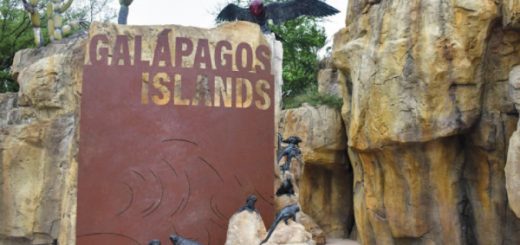 exhibición de las Islas Galápagos en Houston
