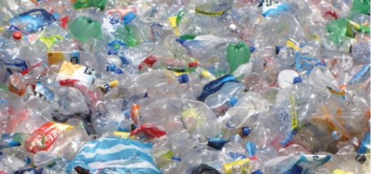 contaminación de plásticos