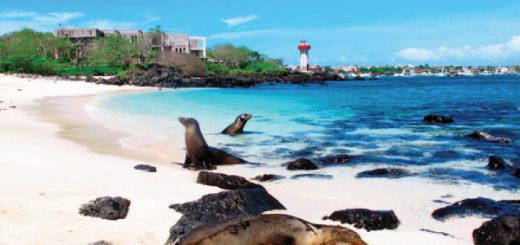 Para proteger Galápagos, Ecuador cambiará deuda por naturaleza