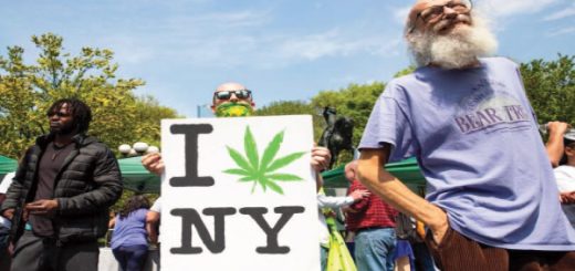 Consume más marihuana