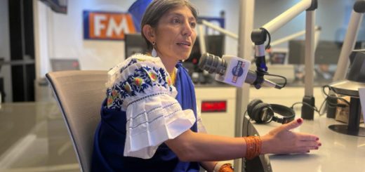 Viceprefecta de Imbabura