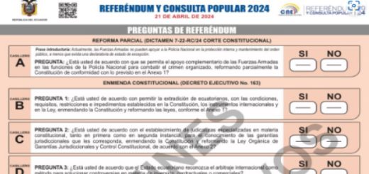 CNE inicia la inscripción para la campaña de la consulta