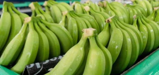 Rusia levantó el veto