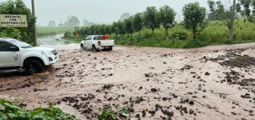 Santa Cruz vuelve a la normalidad