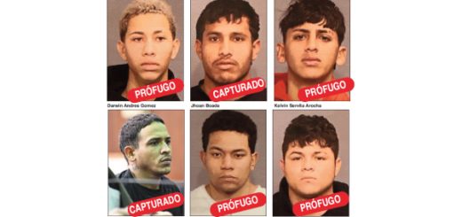 vinculación al ‘Tren de Aragua’