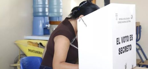 CNE consulta popular y referendo 2024