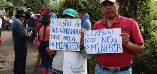 consulta ambiental Palo Quemado