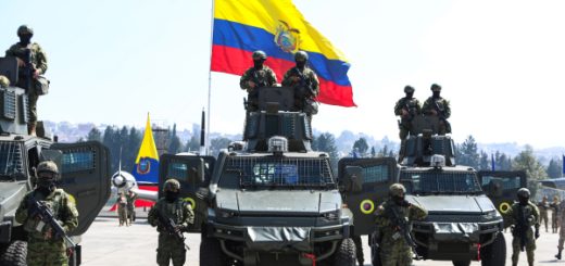 Gobierno reconoce en decreto la persistencia de un conflicto armado interno