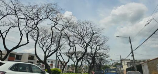 ¿Por qué Guayaquil soporta altas temperaturas?