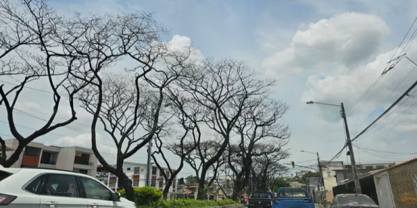 ¿Por qué Guayaquil soporta altas temperaturas?