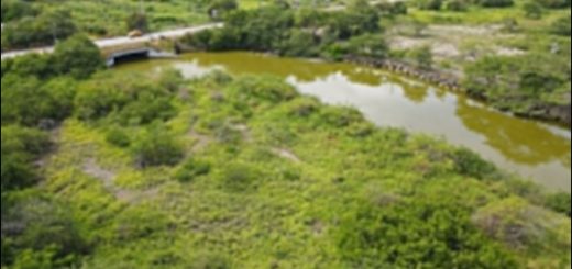 Fundación La Iguana, esterillo Olón