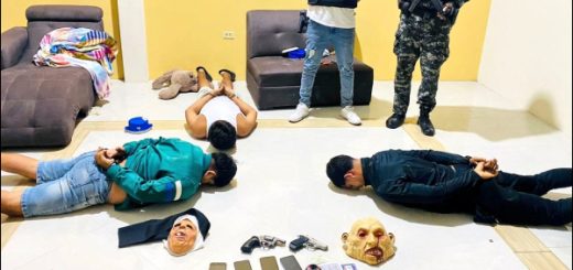 Golpe a organizaciones criminales