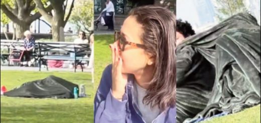pareja que parece tener relaciones sexuales bajo una manta a plena luz del día en unparque de Nueva York