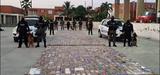cargamento de cocaína que salía de Guayaquil a Rusia