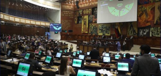 Reforma al artículo 138 de la Constitución romperá con el «hiperpresidencialismo»