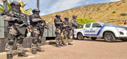 La delincuencia y crimen organizado van en aumento, según experta en seguridad