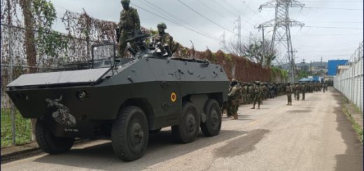 El Gobierno no ha priorizado las amenazas en la lucha contra el crimen organizado, según experta en seguridad